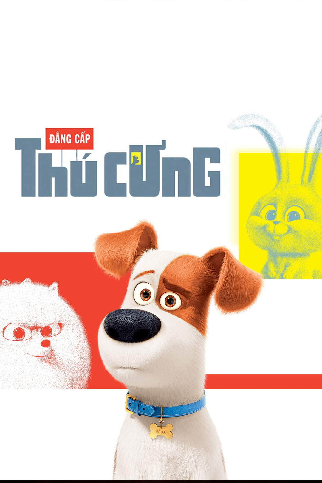 Đẳng Cấp Thú Cưng