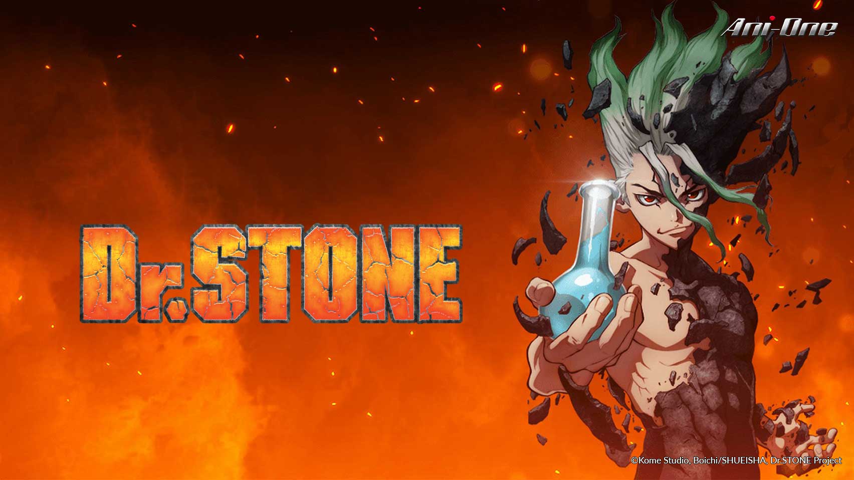 Dr. Stone | DANET