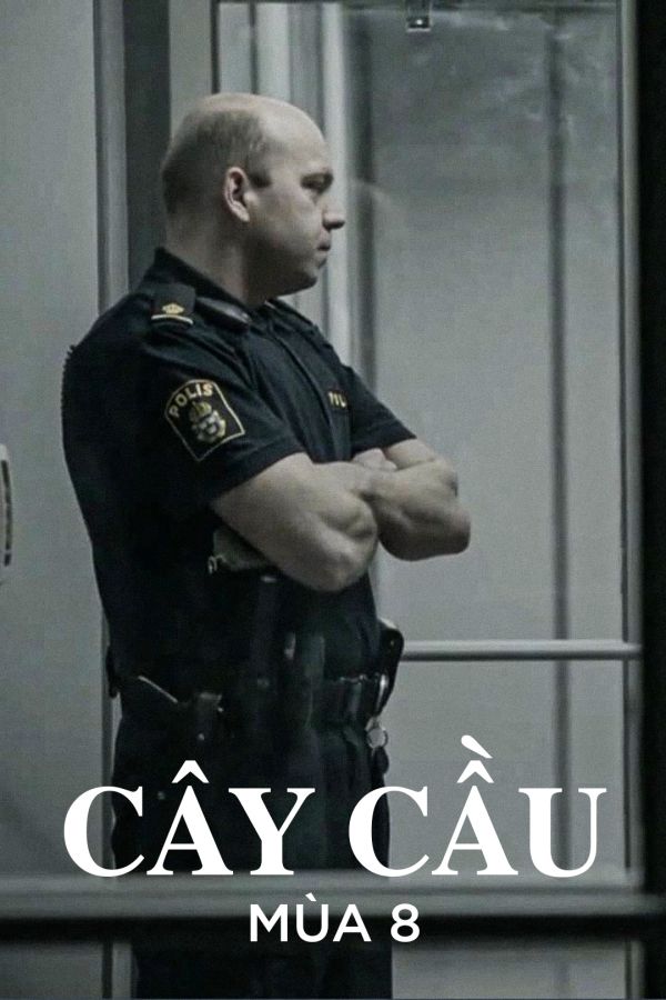 Cây Cầu 8