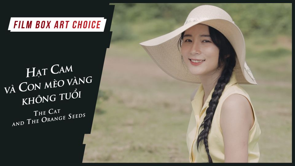  Hạt Cam và Con Mèo Vàng Không Tuổi