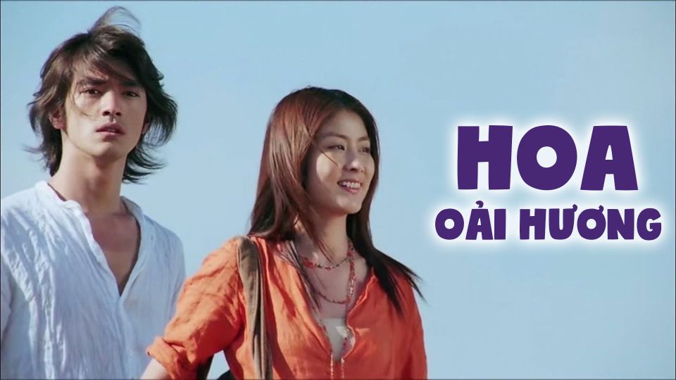 Hoa Oải Hương